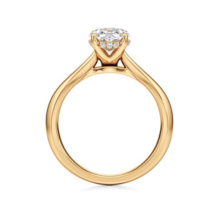 Acantha Elongated Cushion Cathedral Hidden Halo