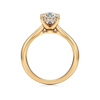 Acantha Elongated Cushion Cathedral Hidden Halo