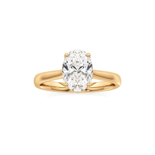 Aeloria Elongated Cushion Cathedral with Diamond Bridge
