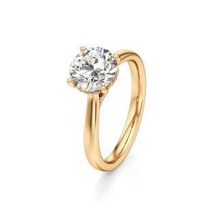Aeloria Elongated Cushion Cathedral with Diamond Bridge