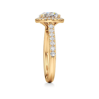 Camellia Pear Halo with Diamond Band