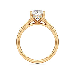 Cathedral Plain Hidden Halo Round Engagement Ring