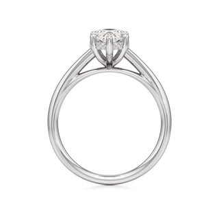 Cathedral Plain Hidden Halo Round Engagement Ring