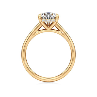 Cathedral Plain Hidden Halo Round Engagement Ring