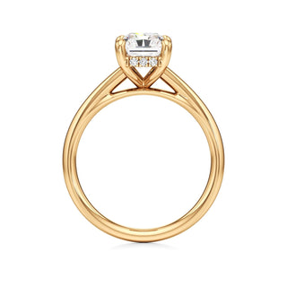 Cathedral Plain Hidden Halo Round Engagement Ring