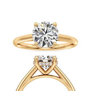 Cathedral Plain Hidden Halo Round Engagement Ring