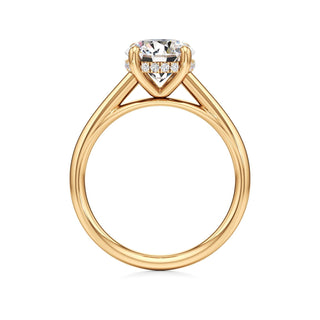 Cathedral Plain Hidden Halo Round Engagement Ring